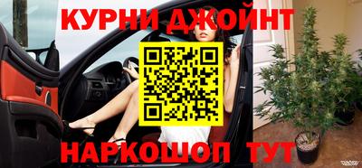 jwh Будённовск