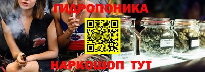 jwh Будённовск