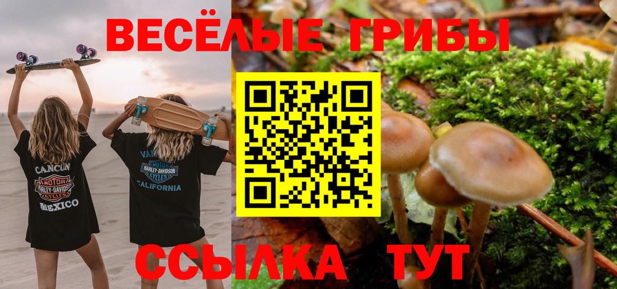 Галлюциногенные грибы мухоморы  Вход с VPN  Луховицы 